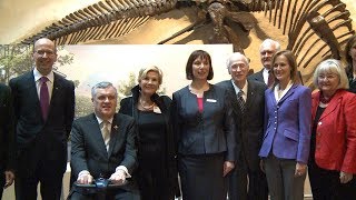 🎇 ROM Celebrates Centennial of the Museum's 100th Anniversary 2014 (HD)