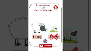 Domestic Animals and Their Baby Names | ଗୃହପାଳିତ ପଶୁ ଏବଂ ସେମାନଙ୍କର ଛୁଆ ମାନଙ୍କର ନାମ