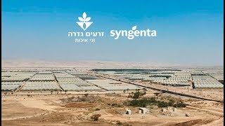 Zeraim Gedera-Syngenta brings Grofit technology to the field