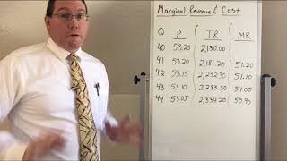 Marginal Revenue & Marginal Cost - Professor Ryan