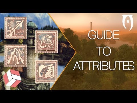 Oblivion - Leveling Guide; Attributes Explained. (2018 Education) Oblivion - Leveling Guide; Attributes Explained. (2018 Education)
