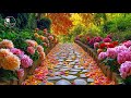 Amazing Flowers Relaxing Piano Music Helps You Find Calm, Peaceful Soul