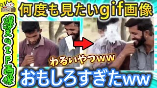 【2ch面白いgif】お前らの好きなおもしろgif画像見せてくれ！