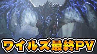 【モンハンワイルズ最終PV】リオレウス特殊個体、アルシュベルド覚醒、超大型モンスター、ロードマップなど。