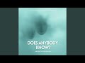 Does anybody know?