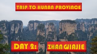 Zhangjiajie National Forest Park (Avatar Mountains!) | Hunan Province Episode 2