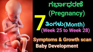 7th month pregnancy in kannada  | Seventh month baby development & movement(Week 25-28)