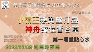 港經佬賽馬貼士及分析｜第一場參賽馬匹資料｜08-03-2023 跑馬地九場夜馬谷草賽事｜免費心水及賽馬貼士｜全方位博彩及投資頻道｜足球｜賽馬｜股票｜樓市 #賽馬貼士