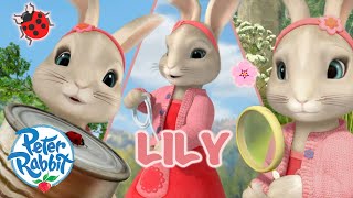 ​@PeterRabbit - 🌟 Lily's Brilliance 🌟 | Day of the Girl Special 🎉 💕🎉  | Cartoons