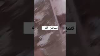 شاهد ماذا حصل القطه مسكينه جدا