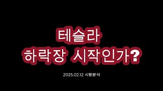 테슬라 하락장 시작인가? 2025.02.12 시황분석