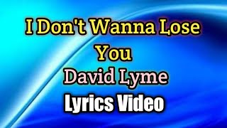 I Don't Wanna Lose You - David Lyme (Lyrics Video)