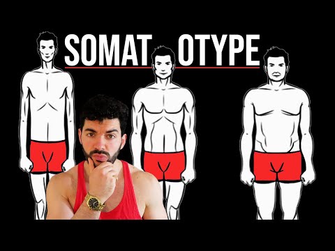 Somatotypes Are Just A Myth Or Are They Youtube