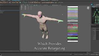 Maya Python Tools - Rigging Tools (System Skeleton)