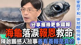 海龜落淚報恩救命  陳啟鵬感人故事善有善報是真的【新聞挖挖哇】