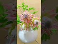 花のある暮らし living with flower セルリアローズはドライフラワーにもオススメ