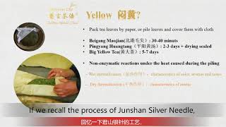 Chinese Tea Art Micro-course Lesson 16 Yellowing of Yellow Tea 黄茶闷黄工艺