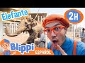 Conoce los animales del Zoologico | Blippi Español | Videos educativos para niños | Aprende y Juega