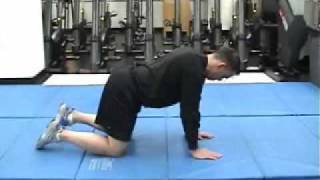 Quadruped Bent Knee Hip Extension