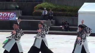 静峰八重桜まつり'16 颯流（ソウル） - 侍