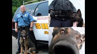 Union County - K9 Officer Lorcan Memorial Service - Union County NJ