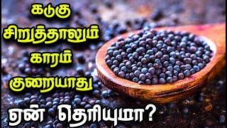 கடுகு சிறுத்தாலும் காரம் குறையாது பழமொழி விளக்கம் | palamozhi explain in tamil | siva bala murali