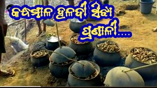 Kandhamal Haladi production// Traditional Turmeric process of production//କନ୍ଧମାଳ ହଳଦୀ ଚାଷ,