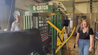 High Plains Agriculture: Wildorado Cattle Company