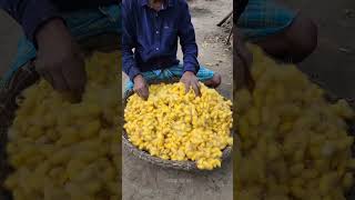 💥பட்டு நூல் எடுக்கும் முழுமையான செயல்முறை⁉️😱 | Silk Making Full Process #silk #yarn #making #shorts