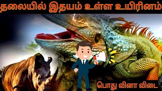 தலையில் இதயம் உள்ள உயிரினம் எது தெரியுமா/Which animal has heart on its head?