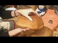 Homemade bread using fresh milled flour 