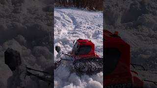 Kyosho blizzard 2.0 winter Bash