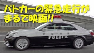 警察パトカーが高速からぶっ飛んで来た!!　ガチ緊急走行がまるで映画のワンシーン！ | Daily Observation in JAPAN | 054