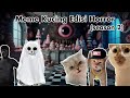 Pov Meme Kucing - Kompilasi Horror Season 2