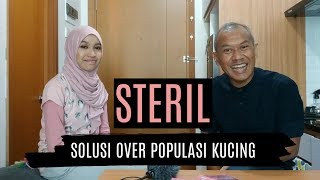 Steril, Solusi Over Populasi Kucing