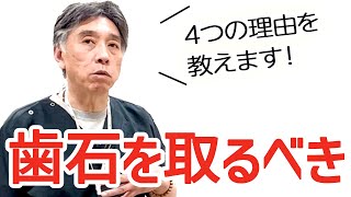 【犬猫】なぜ、多くの獣医師たちは、犬猫の歯石をとった方が良い言うのか？〜歯石を取るべき4つの理由〜