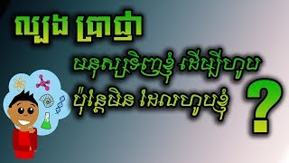 ១១ ល្បងប្រាជ្ញា សាកល្បងប្រើខួរក្បាលរបស់អ្នក - 11 Riddles - Test your brain