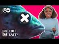 Time is running out for Africa's biggest lake...can it still be saved? | Science Unlocked