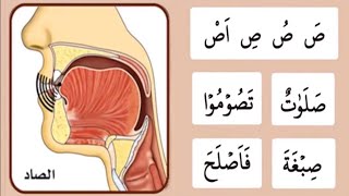 Haroof | حروف تہجی ص