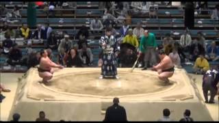 Haru 2016 Day 09 Akinokawa vs Yamaguchi