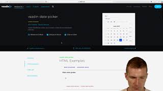 Using a DatePicker WebComponent