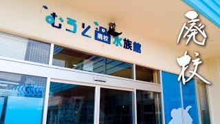 【高知】廃校を水族館に変えた「むろと廃校水族館」と名物のぶりくじ【4K】