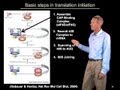 Initiation of translation - Roy Parker (Boulder/HHMI)