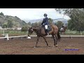 298d joanne belonsky on buck training am dressage copper meadows march 2021