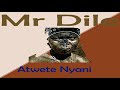 mr. dile atwete nyani official audio