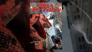 Boa Vs. Python