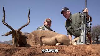 Foreign antelopes are flooded, hunters use large-caliber air guns to hunt, and one shot goes to t...