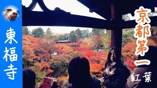 『京都-東福寺』京都第一紅葉所！通天橋、臥雲橋 SONY X3000R【Wang Ching】Ep.44