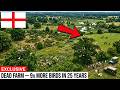 England Released Wild Animals Into a Dead Farm — What Came Back In 25 Years Was Unbelievable