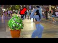 Bushman Prank in Madrid: Everyone is Shocked !!